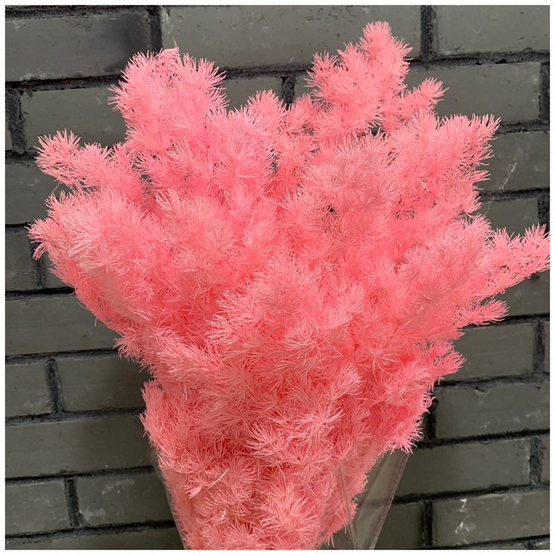 Flower shop accessories: dried flowers, preserved flowers, everlasting flowers, and pomelo Item Picture