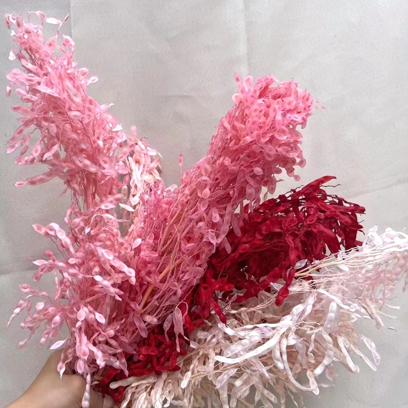 干花压花/压花干花/发光干花束细节图