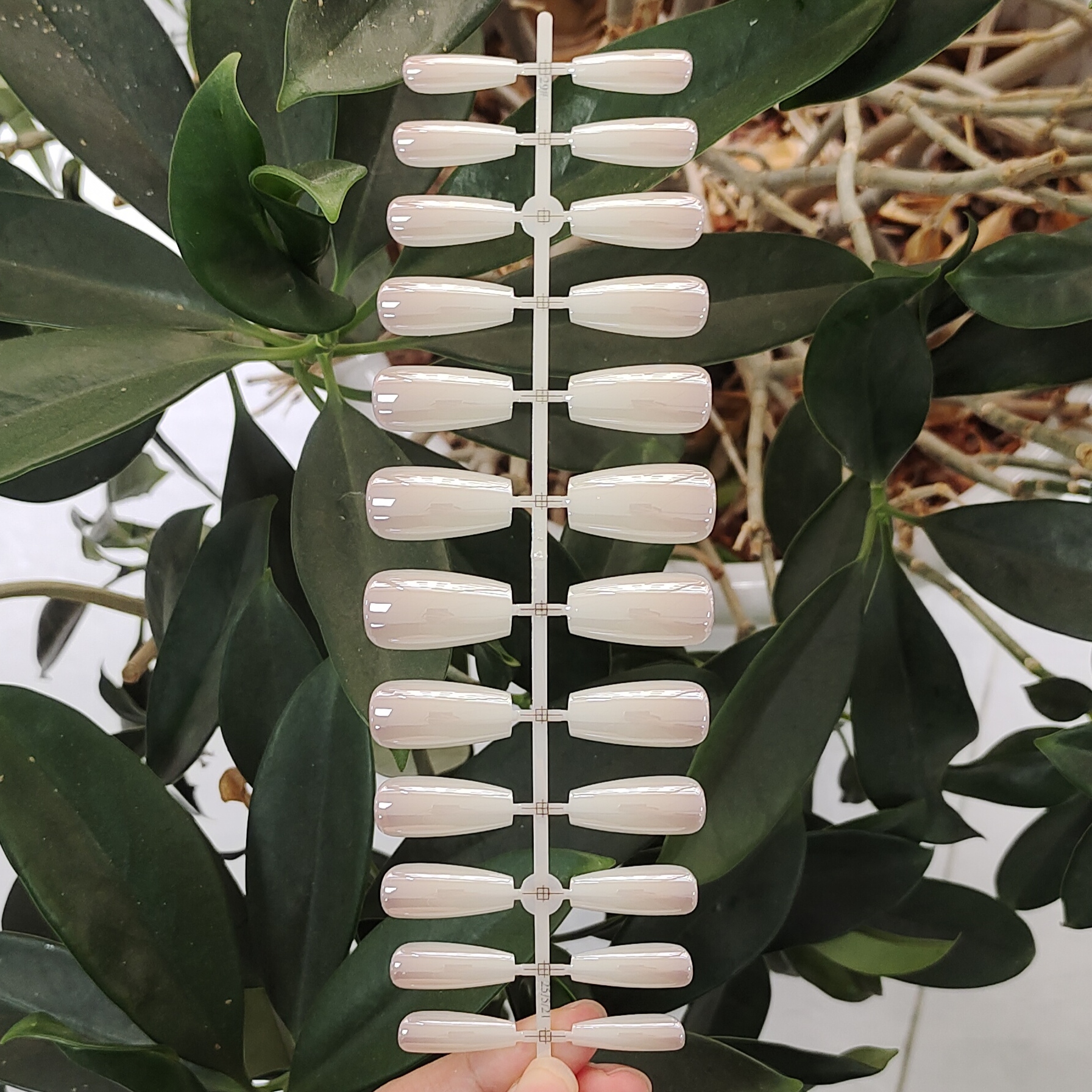 24 PCS PRESS ON NAIL TIPS MEDIUM COFFIN SHAPE LIGHT YELLOW AND LOTUS ROOT POWDER COLOR SHADING AND plating style full figure