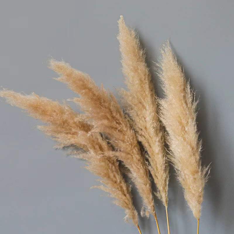 仿真花塑料花植绒毛质感 芦苇花装饰 仿真柏树配件 室内装饰绿植摆件仿真花假花仿diy材料仿真花