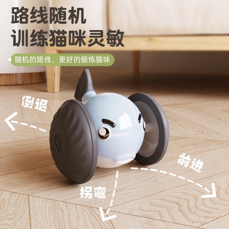 Pet toy car details Picture