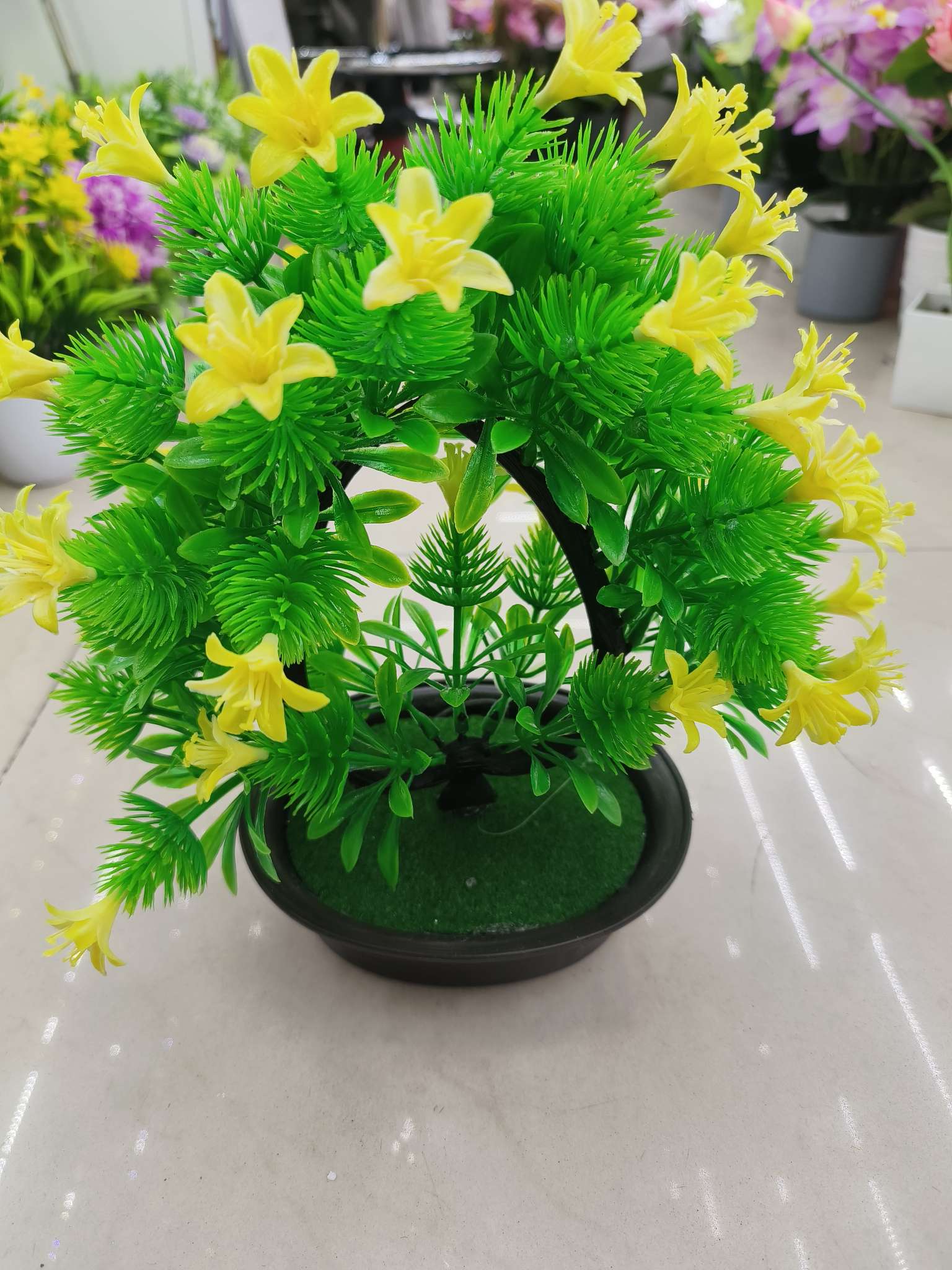 仿真芦荟盆景庭院缸装饰 金钱蕨绿植盆栽园艺摆件宠物友好