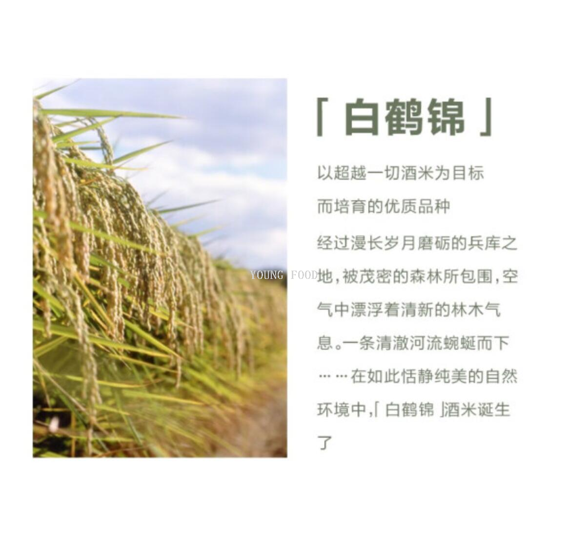 Free shipping for wholesale! BAIOCCHI Imported Rice Wine and Spirits, Kobe Shiratsura Xiangyun Shiratsura Nishiki 720ml pic 9