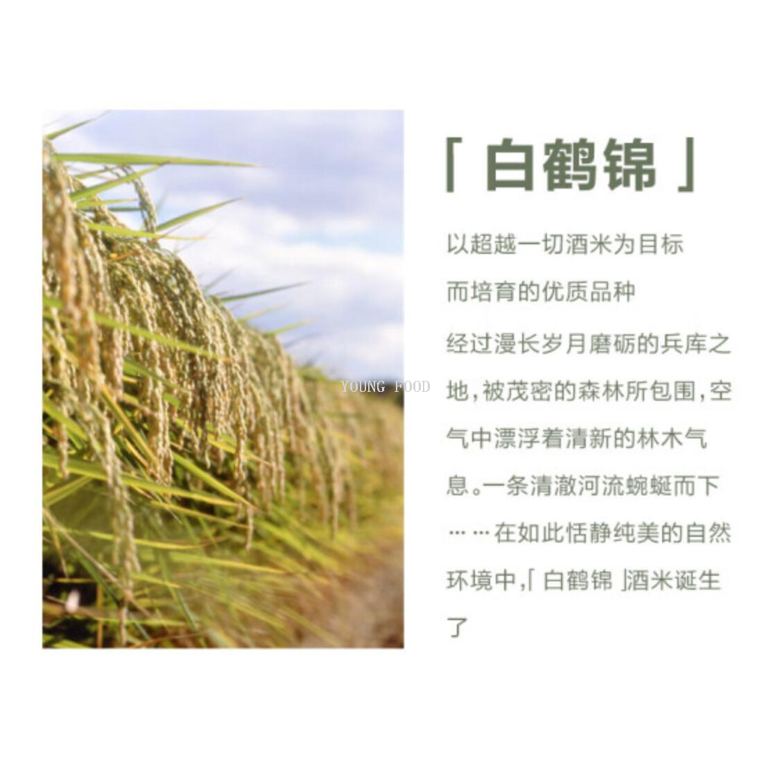 Free shipping for wholesale! BAIOCCHI imported Rice Wine, Japanese Kobe Shiratsuru Xiangyun Junmai Ginjo Sake 720ml pic 8