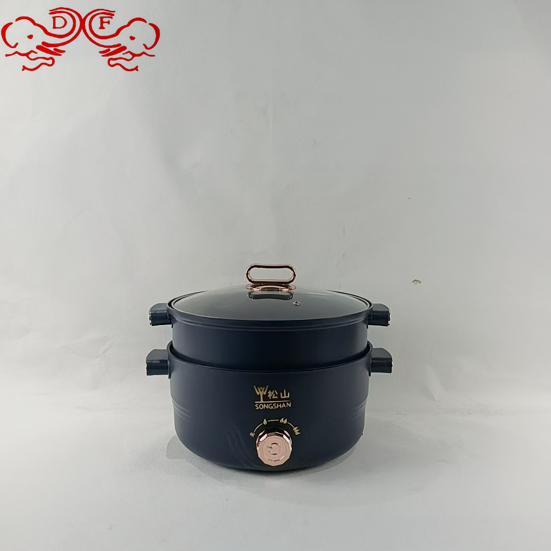 DF68352 Double-ear electric cooking pot, small electric pot, multi-functional steaming, boiling, frying and stir-frying, small pot for cooking noodles, electric hot pot, DF TRADINGHOUSE Application Scenario