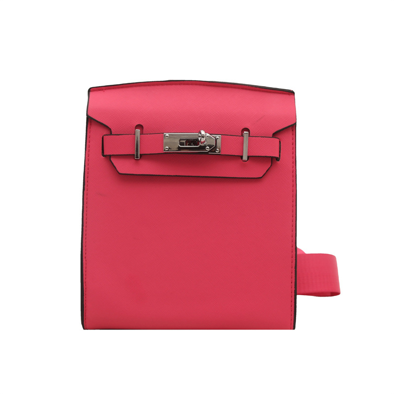 Lock 2025 Fashionable and individual new style, trendy and fashionable color contrast, stylish vertical single-shoulder mobile phone crossbody small square bag Item Picture