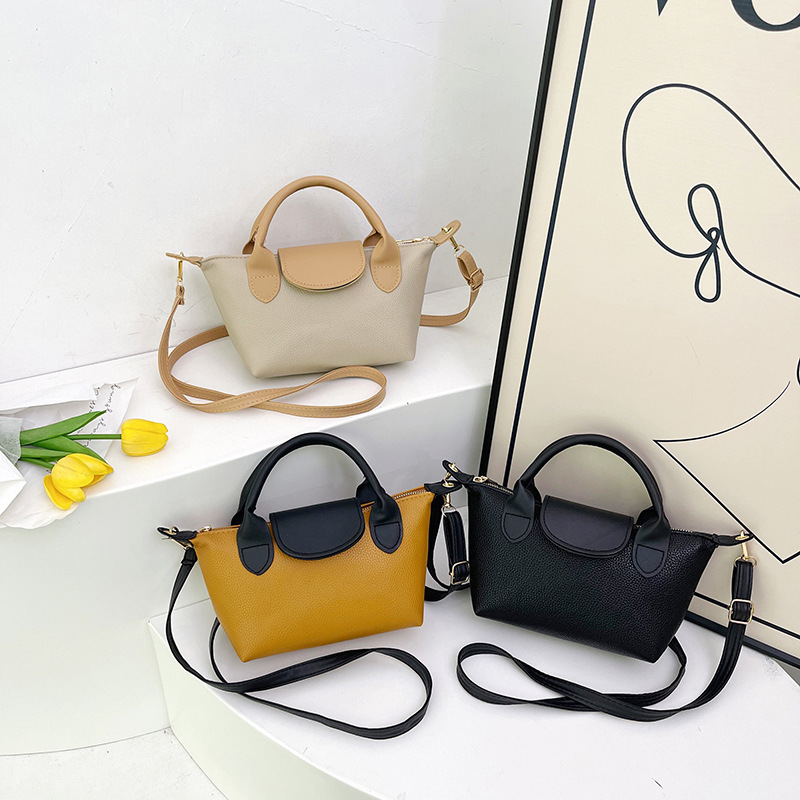 The new 2024 autumn/winter collection of handbags featuring a niche soft skin dumpling bag, color-blocking and patchwork single-shoulder bag, crossbody bag and commuter women's bag Application Scenario