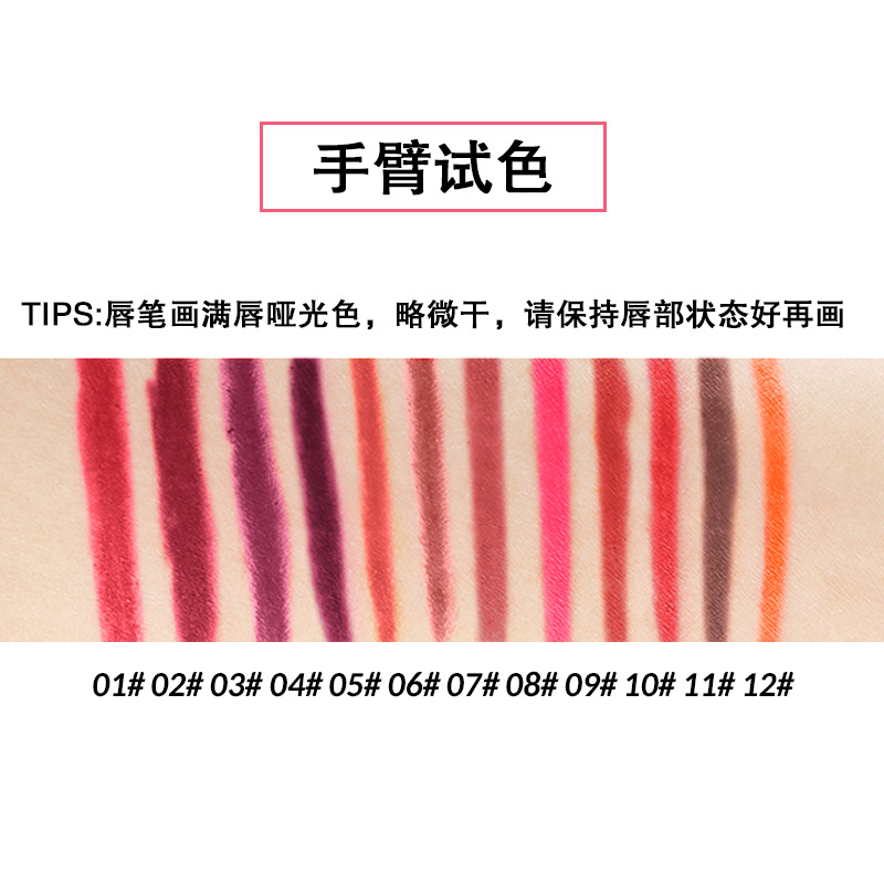 VIBELY European and American export matte non-stick cup lip liner lipstick 12-color line lip liner makeup cross-border wholesale Application Scenario