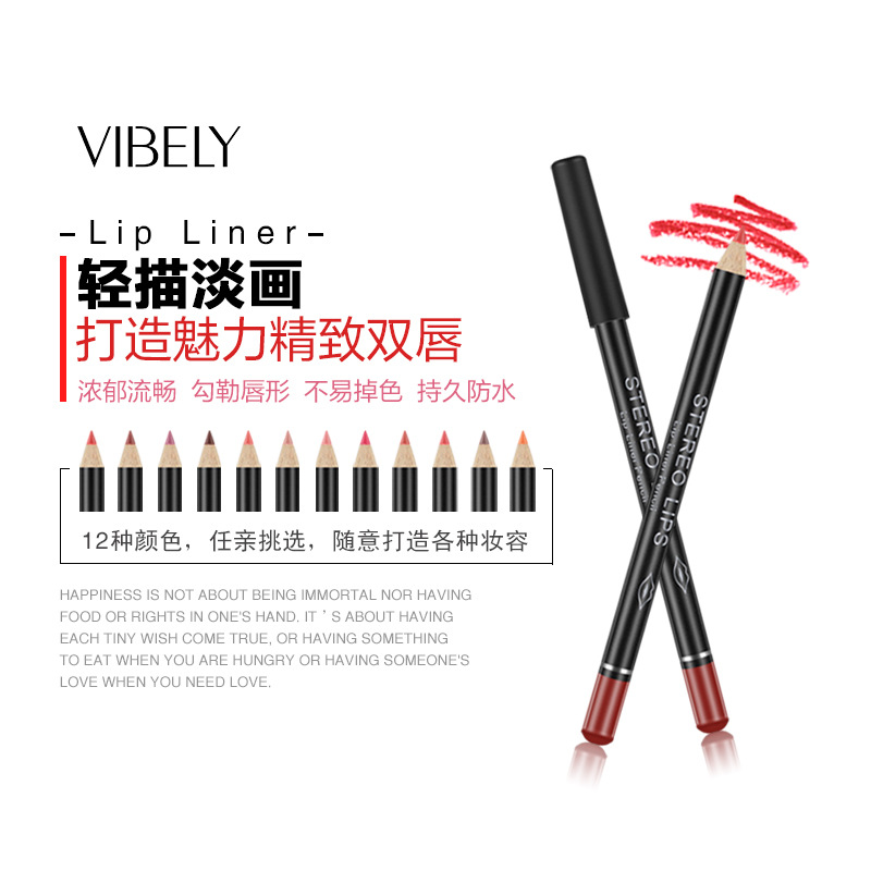 VIBELY European and American export matte non-stick cup lip liner lipstick 12-color line lip liner makeup cross-border wholesale details Picture