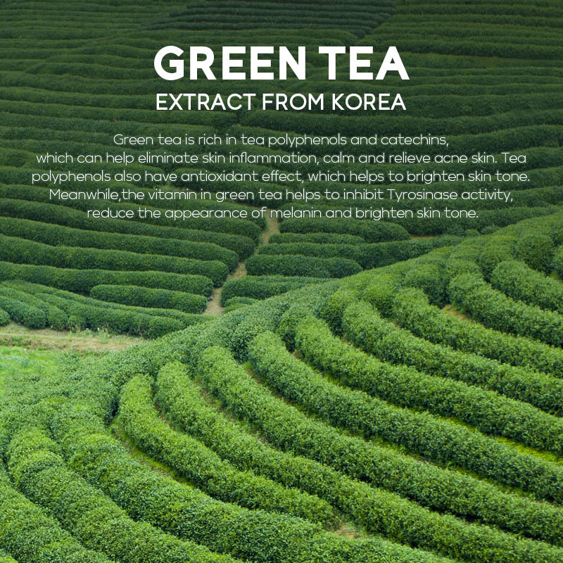 Wholesale of cross-border Fenyi Green Tea Mask Solid Stick Application Type mud Film for hydrating and cleansing, 40g in stock from the manufacturer details Picture