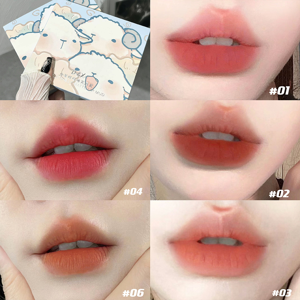 DIXI Little Lamb Miao Miao Matte Lip Gloss Set, 6-color velvet matte Lip gloss, Whitening Orange Brown, versatile for women wholesale Application Scenario