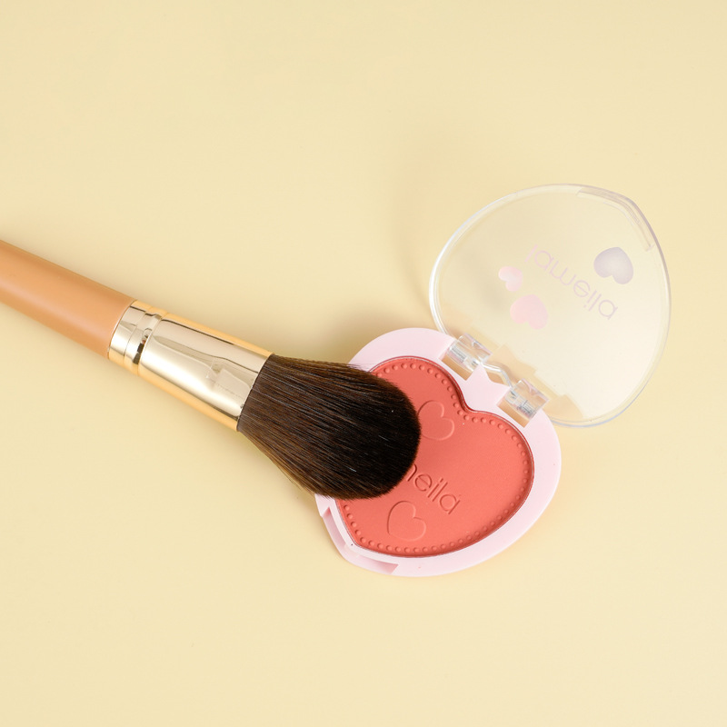 Cangzhou Mini 9-piece makeup brush set for beginners, portable travel brush, loose powder and contouring Application Scenario