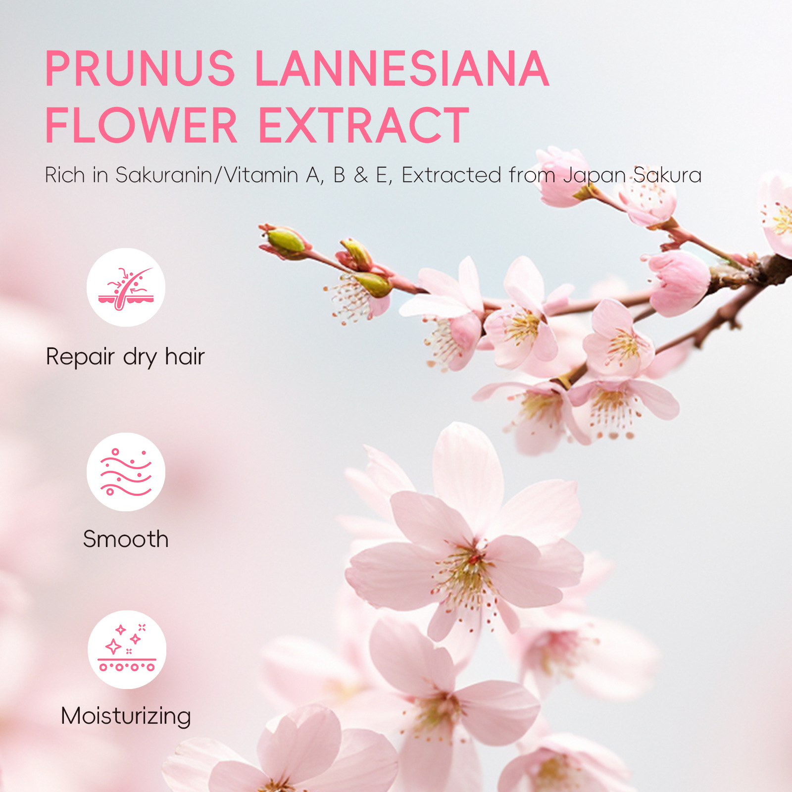 Cross-border LAIKOU Cherry Blossom Conditioner 100ml, Smooth Hair, Moisturize split ends, factory in stock wholesale Specification drawing