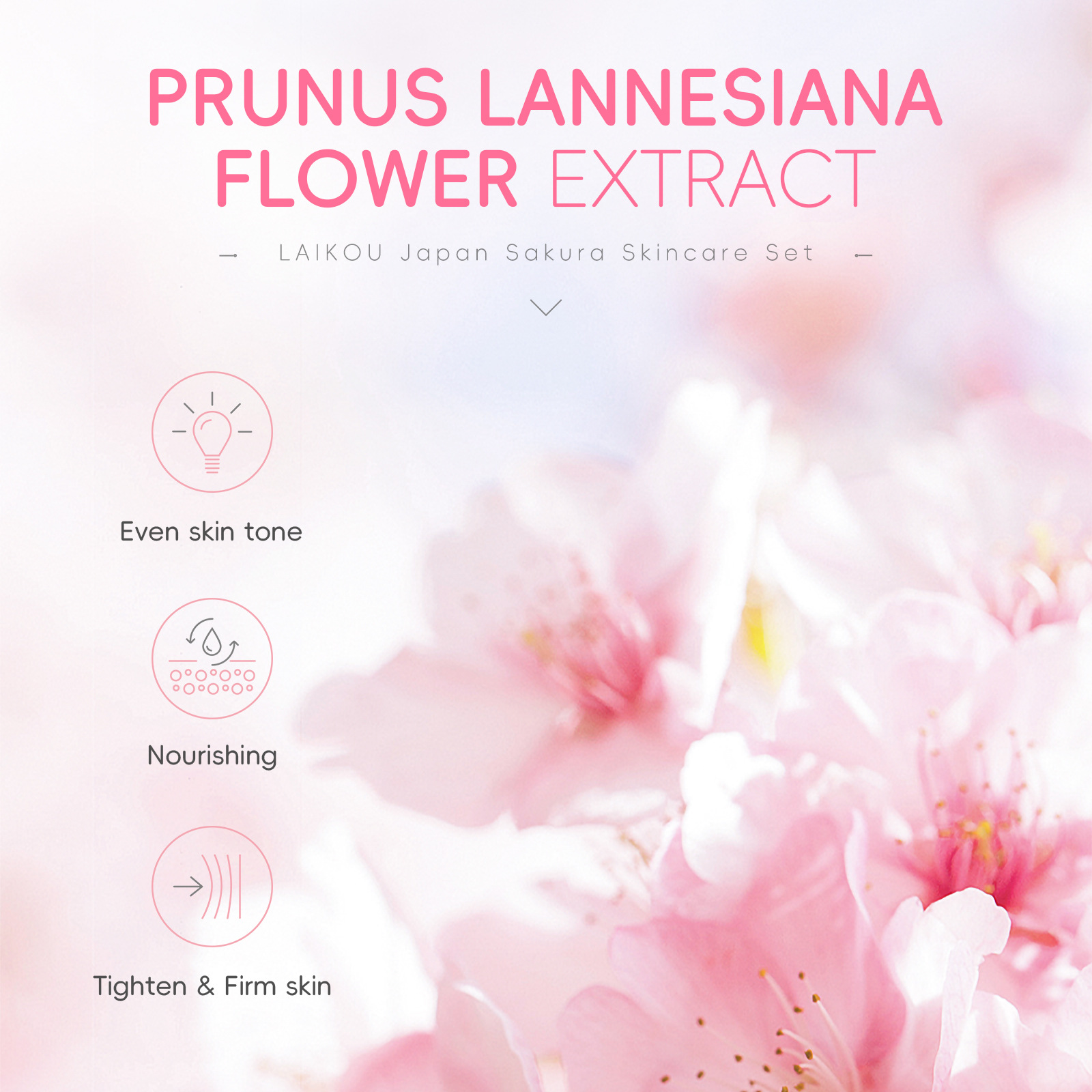 Cross-border Laicome Japanese Sakura Facial Care Set 4-piece set, Cleanser, essence, Eye cream, face cream manufacturer wholesale Application Scenario