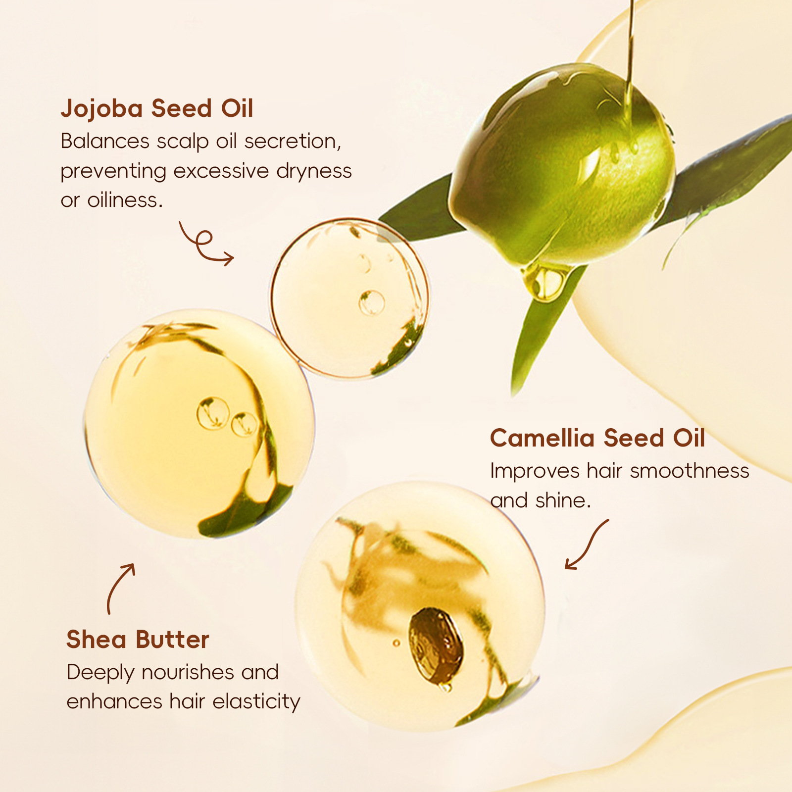 New cross-border product LAIKOU Argan oil CONDITIONER 100ml HAIR CONDITIONER Application Scenario