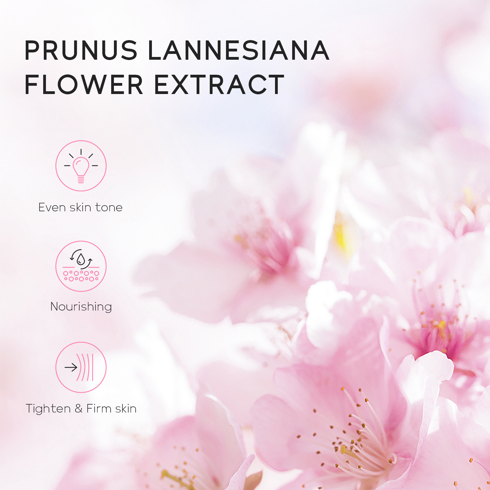 Cross-border Laiko Japanese Cherry Blossom Bubble Explosion Bath Salt 30g Body Cleansing, Moisturizing and hydrating Manufacturer in stock wholesale Application Scenario