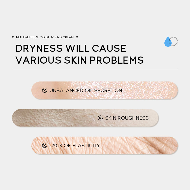 Cross-border LAIKOU Moisturizing Hydrating Cream 60g Hydrating and Moisturizing Face Cream Moisturizing Skin Care details Picture