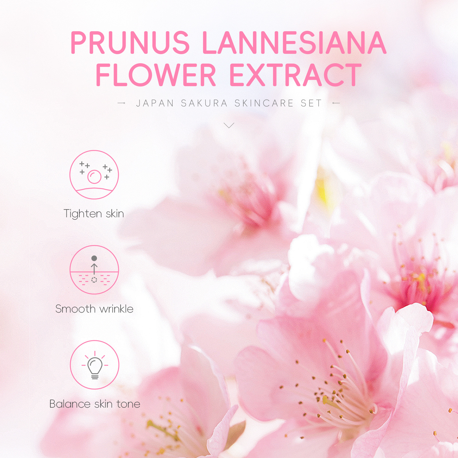 Cross-border LAIKOU Cherry Blossom Skincare Set of 6 pieces: Facial Cleanser, Lotion, Essence, Eye Cream, Essence, Cream and skincare products details Picture
