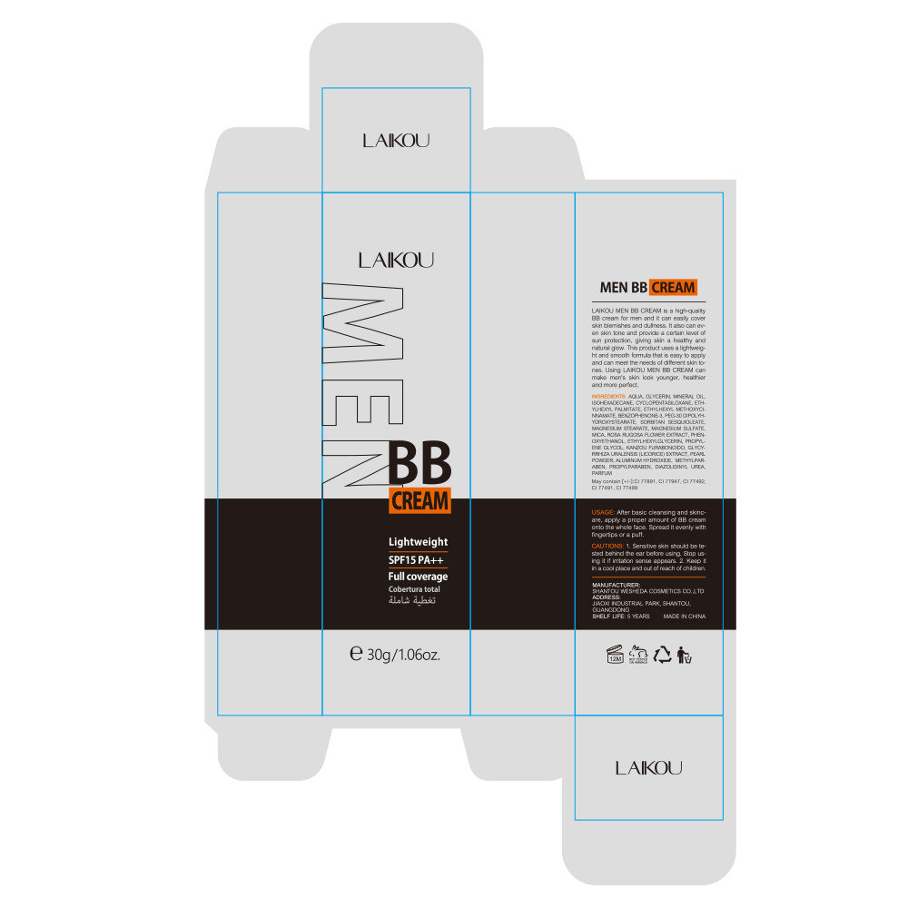 Cross-border Laicome Men's bb Cream 30g (box), multiple colors to choose from, fda cosmetics manufacturer, one-piece consignment Application Scenario