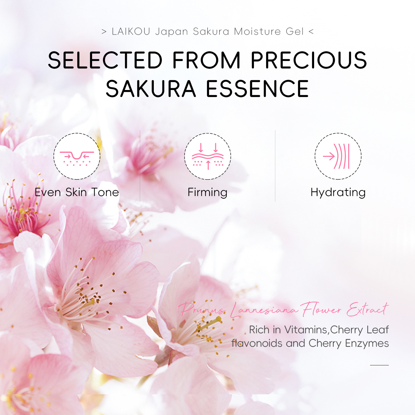 Cross-border Laikou Cherry Blossom Hydrating Cream 60g Facial Skin Hydrating, Moisturizing and nourishing English packaging wholesale manufacturer Specification drawing