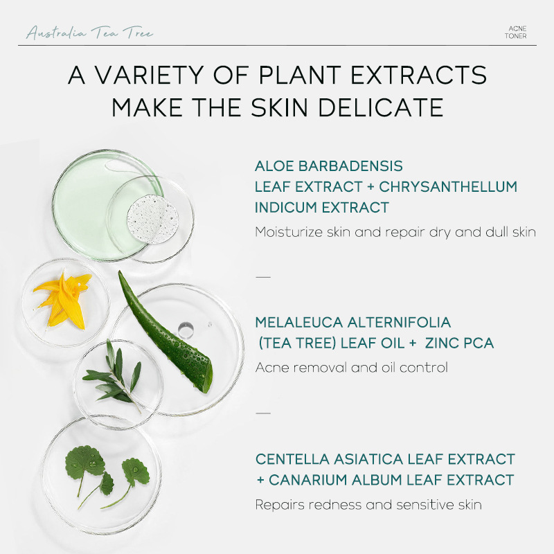 Manufacturer's in-stock cross-border LAIKOU Australian Tea Tree anti-acne Toner 100ml for hydrating and moisturizing Specification drawing