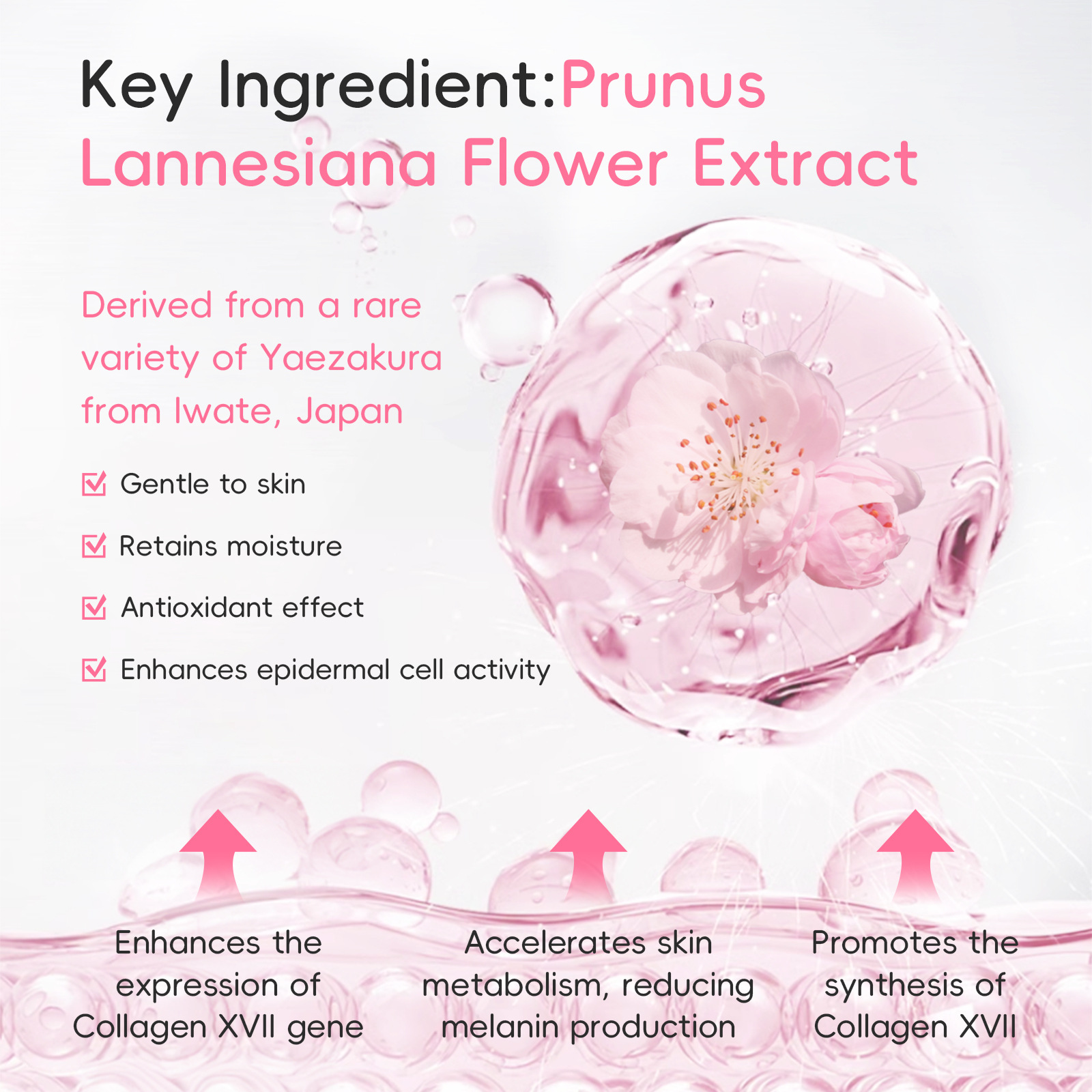 Laikou Cherry Blossom Foot Cream 30g, foot care, hydrating, Moisturizing and nourishing, manufacturer in stock, one-piece consignment Application Scenario