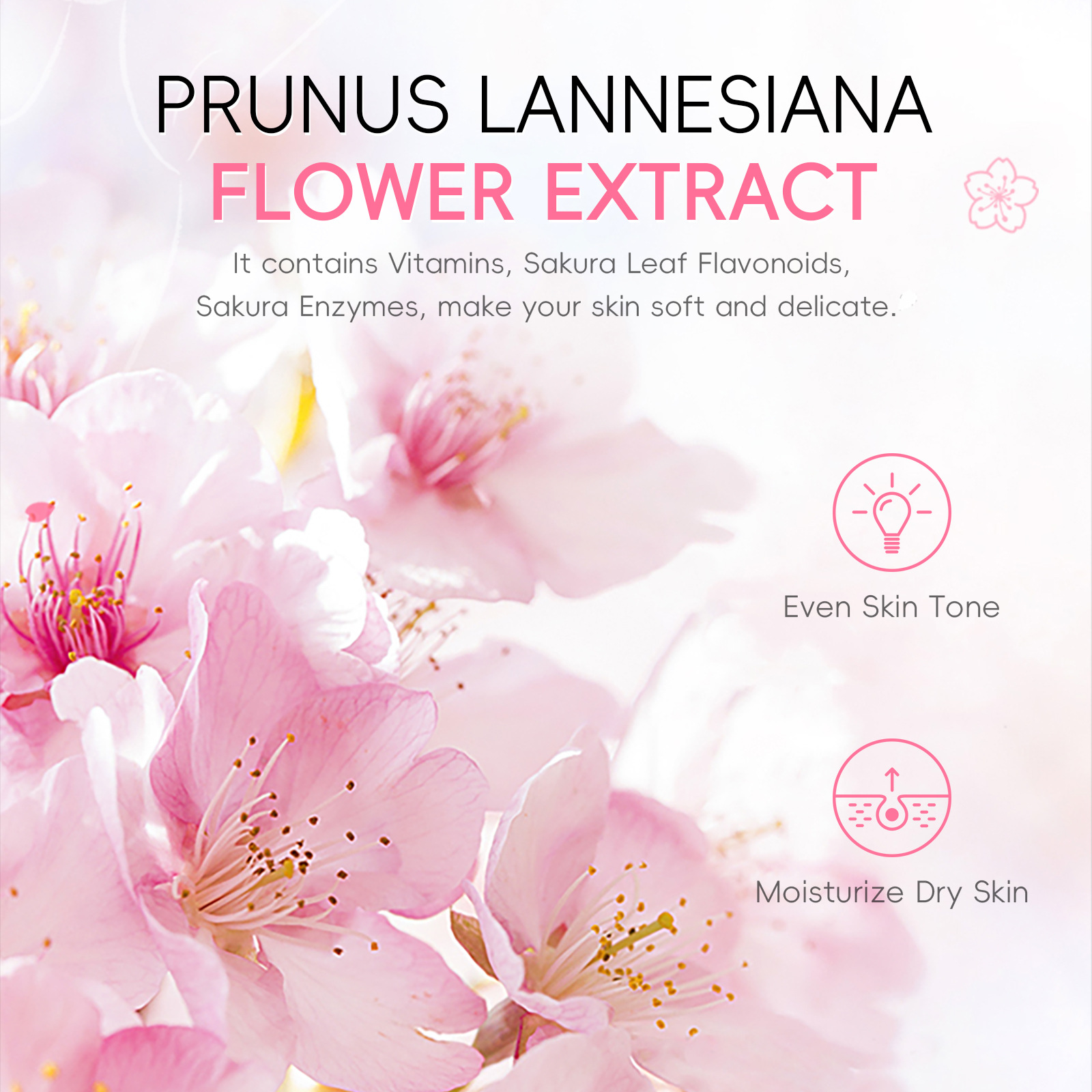 Cross-border LAIKOU Japanese Cherry Blossom Armpit Cream 30g Hydrating, Moisturizing and brightening Skin tone manufacturer wholesale supply Application Scenario