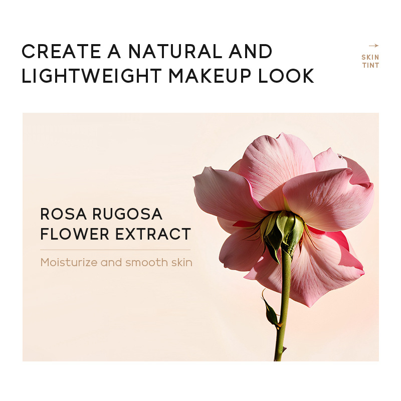 Cross-border version LAIKOU Skin Colorant 30g (color box) Concealer and Contouring 9-color Primer Specification drawing