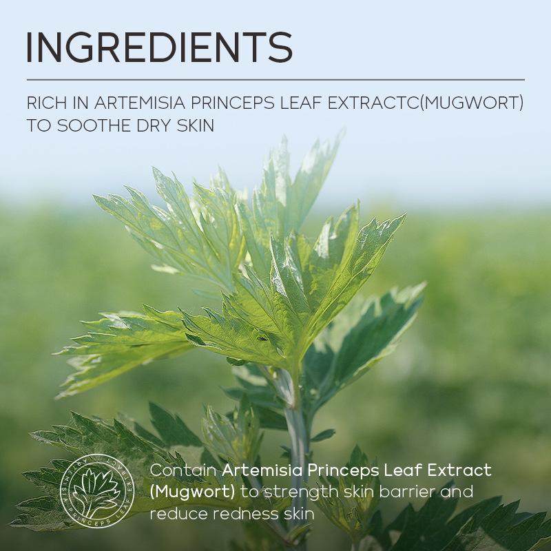 Cross-border Clarifying Mask Laikou mugwort cleansing Mud Mask 100g cleansing, hydrating and moisturizing details Picture