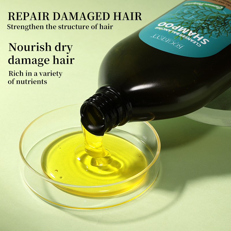 KOGEEYY Cross-border Exclusive Platycladus orientalis Leaf Oil-Control Shampoo, Plant-based Anti-dandruff and Anti-itch Shampoo 500ml details Picture