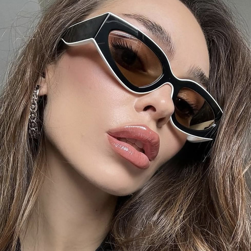 Panda-outlined color-blocking sunglasses, a simple 2025 new style of European and American fashion, versatile sunglasses, a trend for women's sunglasses full figure