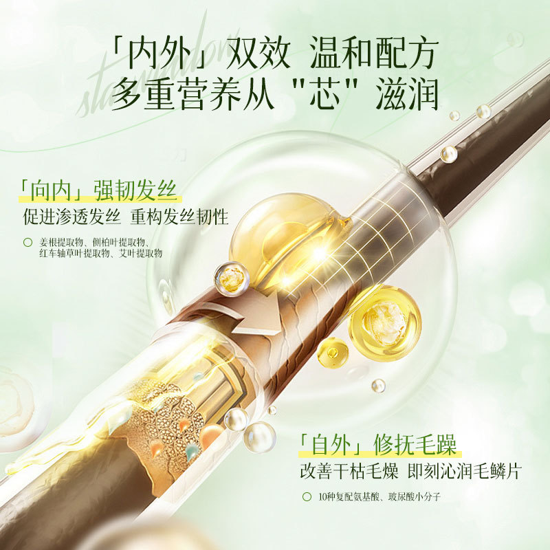 Star Window Silicone-Free White Tea Scented Anti-Dandruff Amino Acid Shampoo Light and Fluffy Conditioner Mask Application Scenario