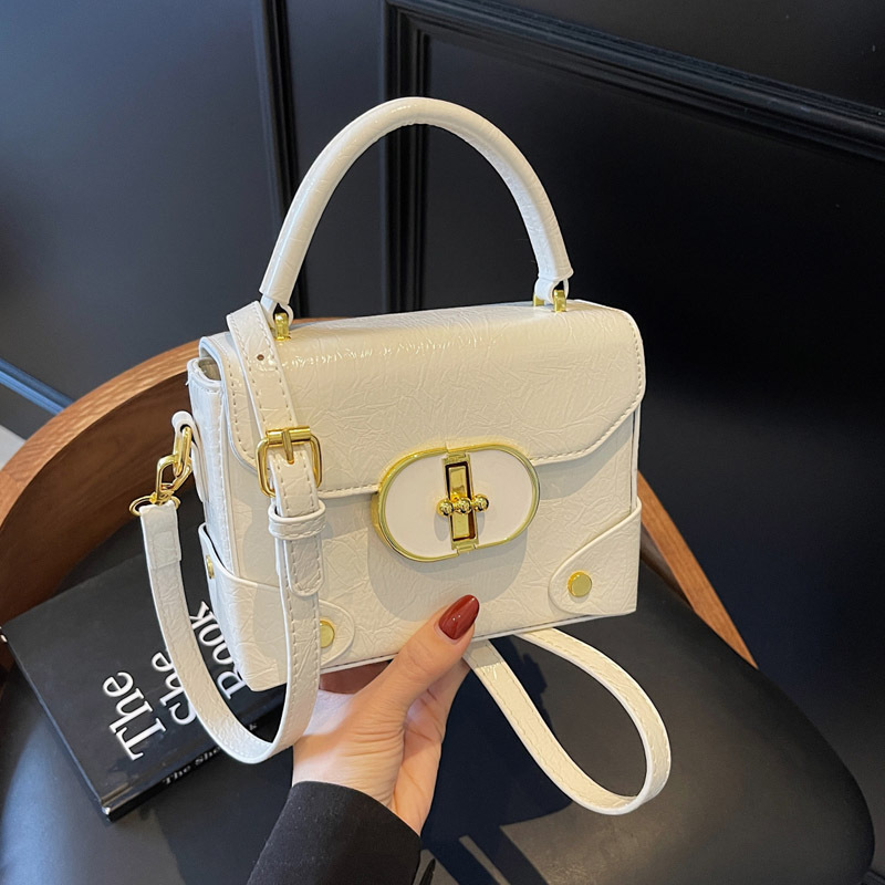 This year, the trendy square box bag for women in 2025 is a new, fashionable, versatile and high-quality single-shoulder crossbody bag full figure