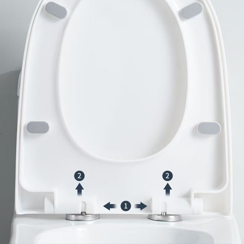 Wall-mounted toilet, rear-seat type, rear water outlet, horizontal, side, left and right drainage, large-diameter anti-odor toilet delivery service Application Scenario