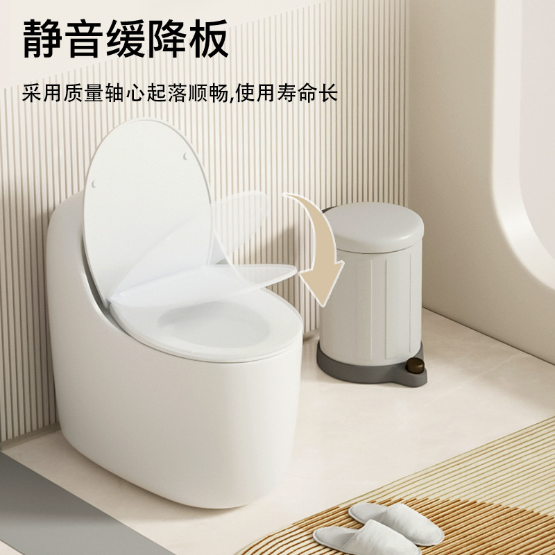 Home creative egg-shaped flush Toilet 10.0 Anti-clogging large pipe anti-odor and anti-freezing cracking siphonic water-saving toilet Application Scenario