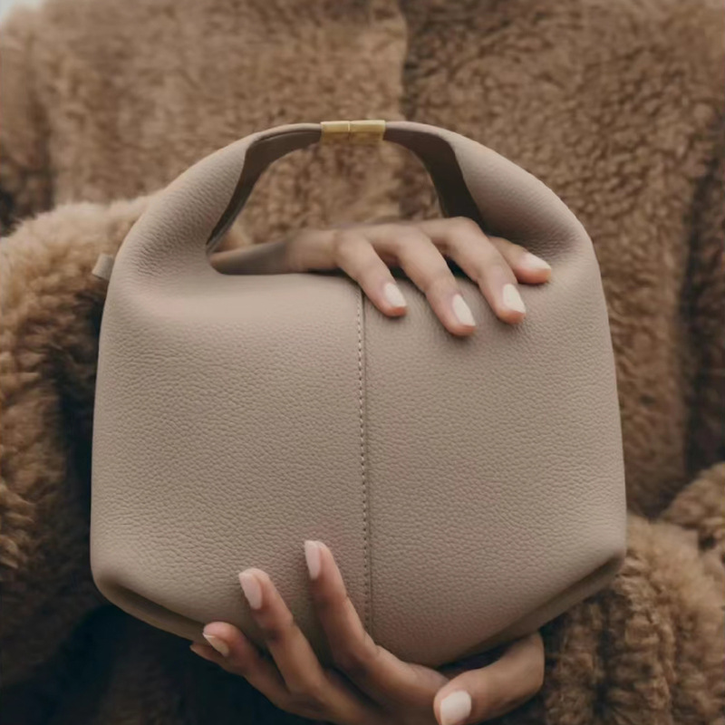 Hand-held lunch box bag for women, 2025 new summer, high-end texture, niche handbag, single-shoulder bento bag, crossbody bag for women full figure