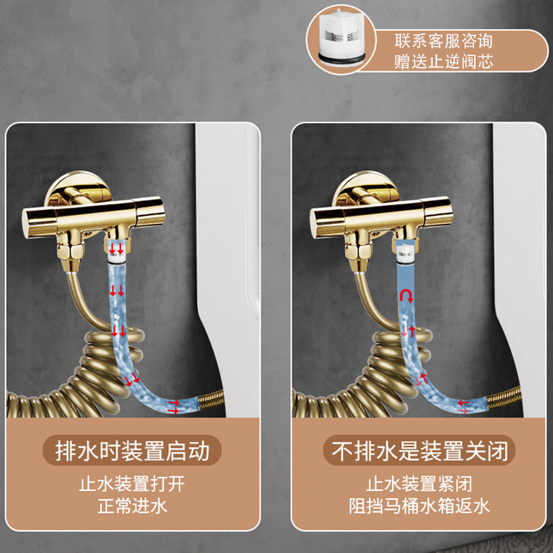 Golden Pressurized Toilet cleaning and Flushing device, water gun, Toilet Companion, Water gun, Double control Angle valve, shower head, Faucet Application Scenario