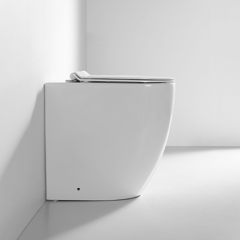 Concealed water tank floor-standing toilet, wall-mounted toilet outlet, hidden water tank, wall-mounted direct flush toilet Application Scenario