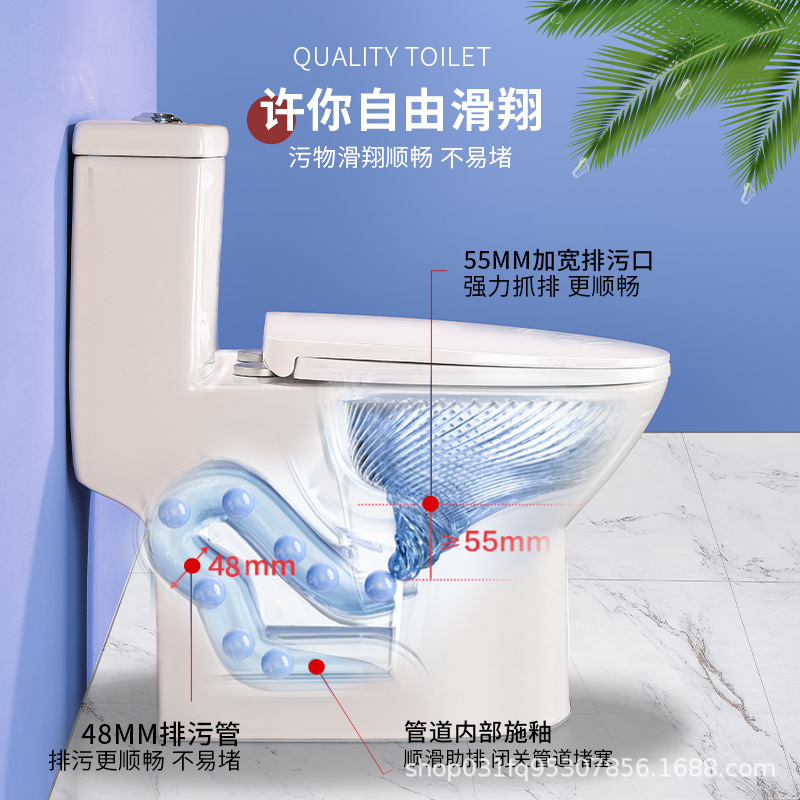 Mona Lisa toilet, household siphonic toilet, bathroom flush toilet details Picture