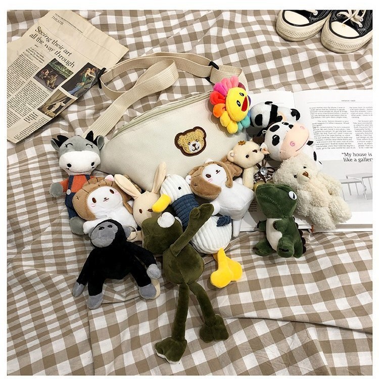 This is a trendy and cute little bag from Instagram for 2024. It's a versatile crossbody bag for female students full figure