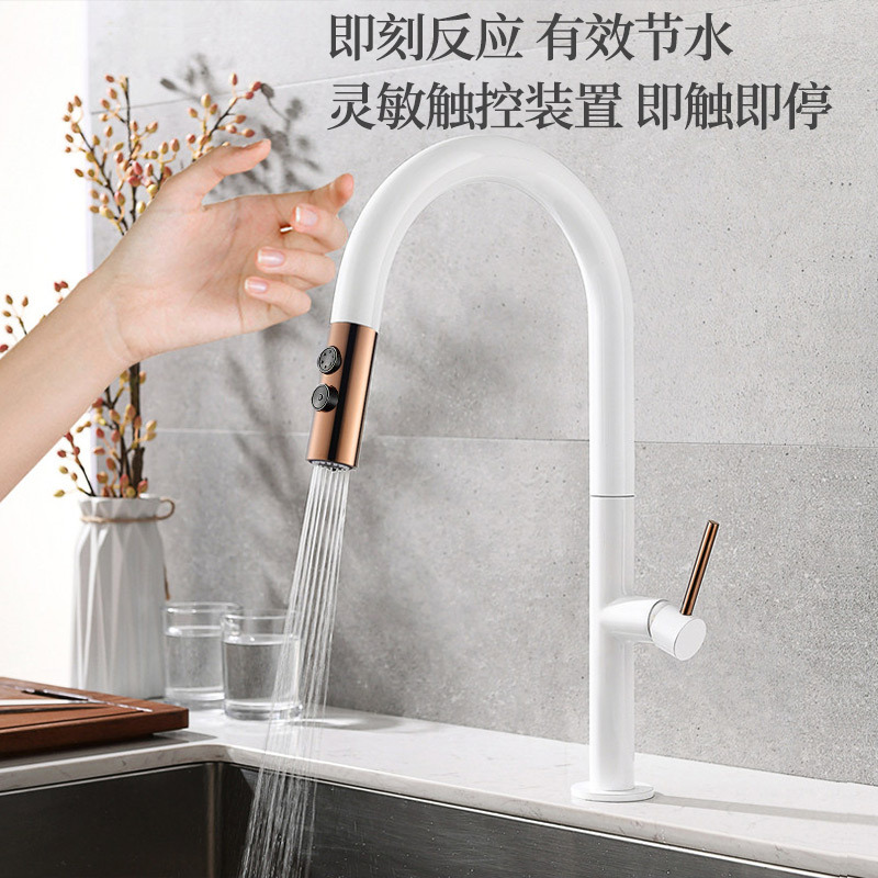 The source factory sensor touch intelligent sensing sink for washing vegetables, hot and cold kitchen, pull and touch touch faucet Application Scenario