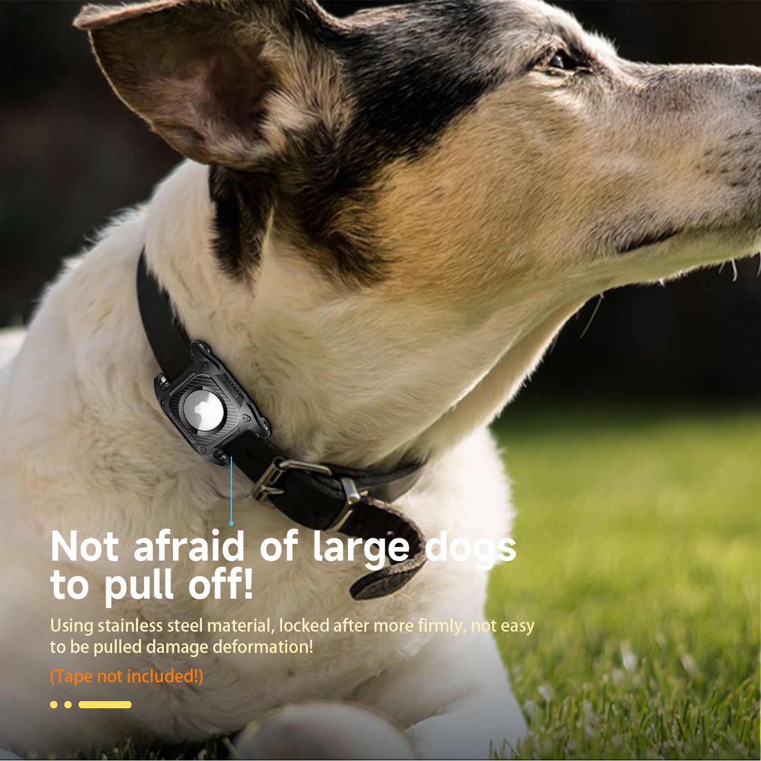 Suitable for anti-loss airtag pet style lanyard hole disassembly and assembly tracking waterproof case dog strap collar webbing cat and dog leash Application Scenario