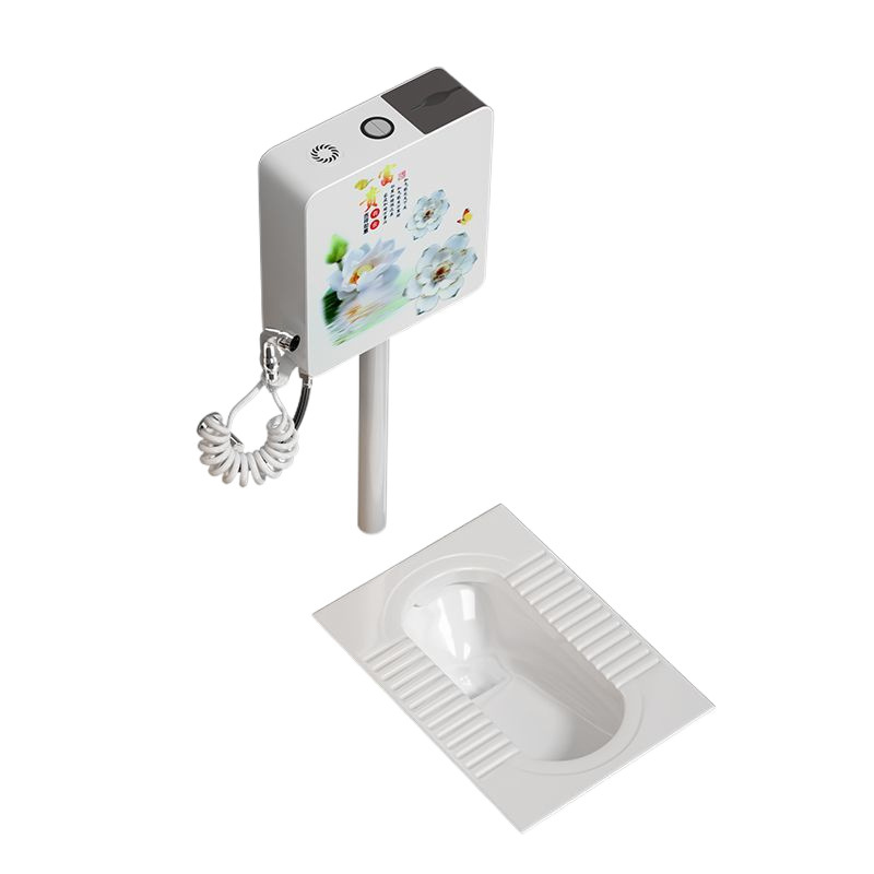 Ultra-thin squat toilet water tank, bathroom rear squat toilet, toilet bowl, toilet bowl, squat toilet, large and extra-large size supply factory Item Picture