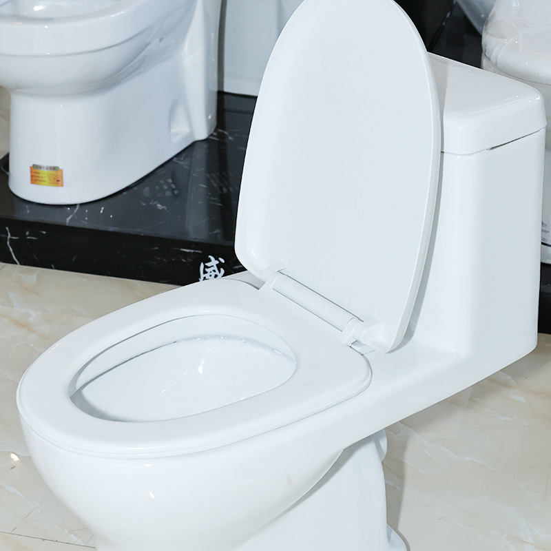 Rear toilet wall drainage toilet project toilet seat details Picture