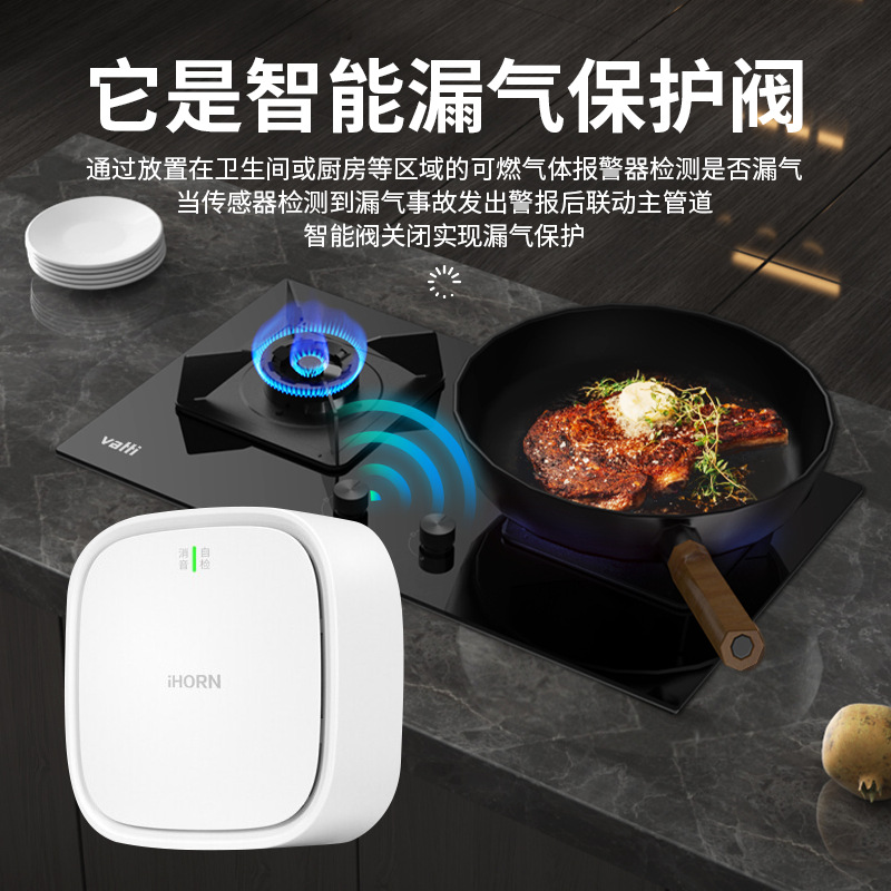 The Water Enjoy wifi HarmonyOS electric valve linkage Water Immersion Guard gas alarm is an automatic water and gas leakage protection wonder Specification drawing