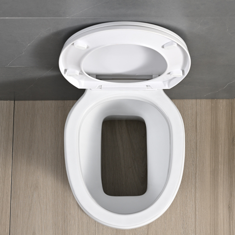 Rural toilet renovation: Dual-purpose dry toilet, ceramic no-flush straight-through squat toilet to sitting toilet, elderly toilet full figure