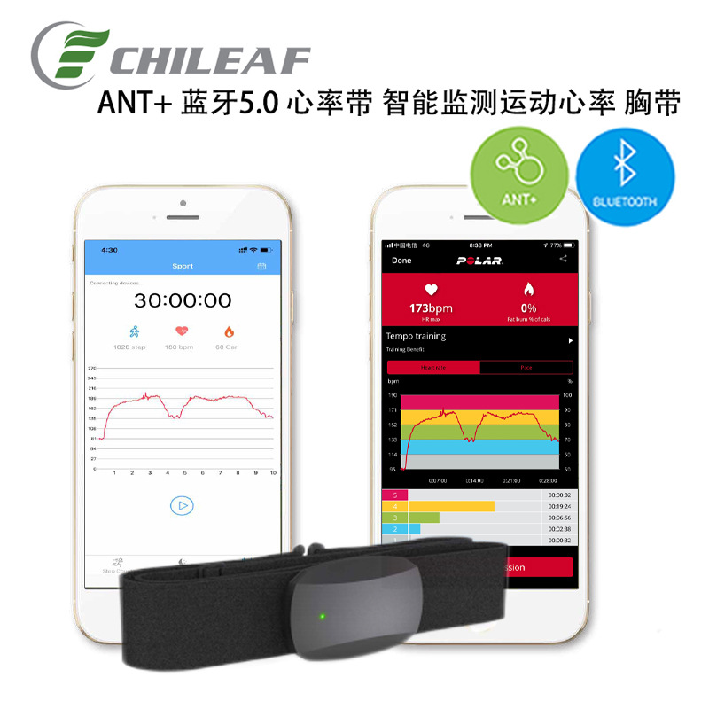 Bluetooth5.0 Bluetooth Smart Heart Rate Chest Strap Training Exercise Heart Rate Monitor ANT Heart Rate Chest strap Specification drawing