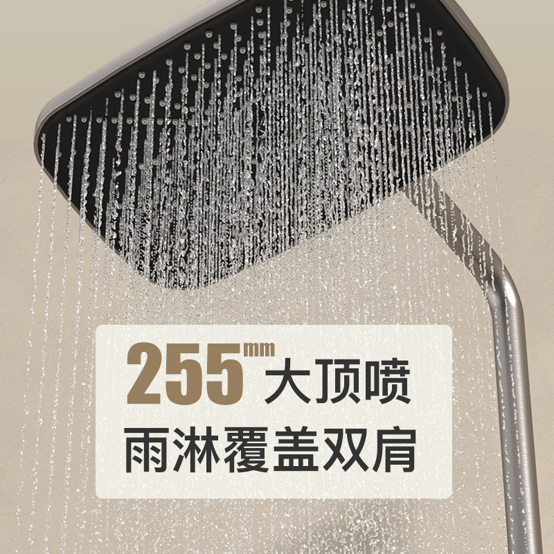 Shower head set, grey brass shower head, household constant-temperature pressurized shower head, bathroom rain shower head details Picture