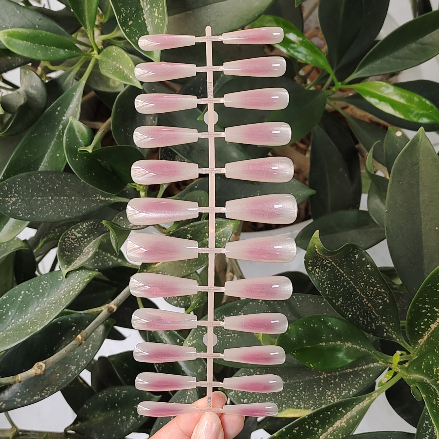 24 PCS PRESS ON NAIL TIPS LONG COFFIN SHAPE PINK POWDER BLUSHER WITH CAT EYE STYLE full figure
