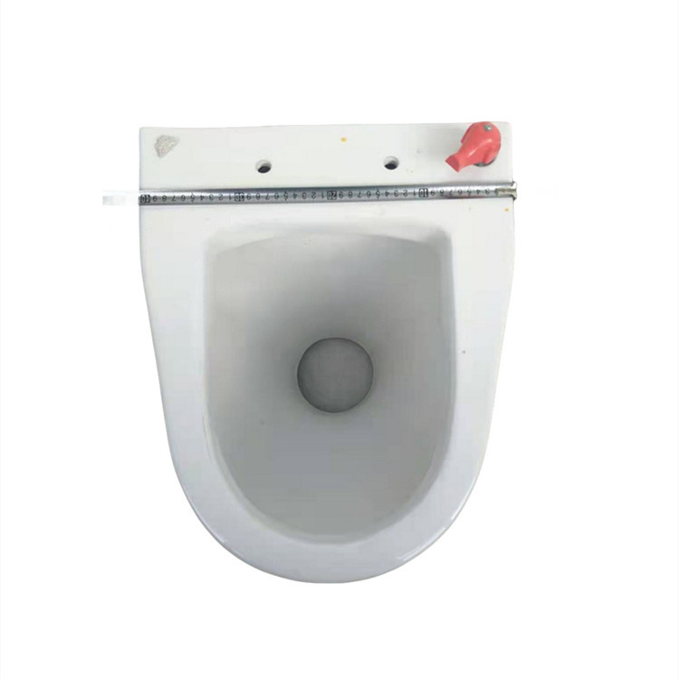 In the renovation of dry toilets in rural areas of Gansu Province, large-mouth anti-freezing toilets and elderly toilets are used, as well as direct-drop large-mouth toilets details Picture